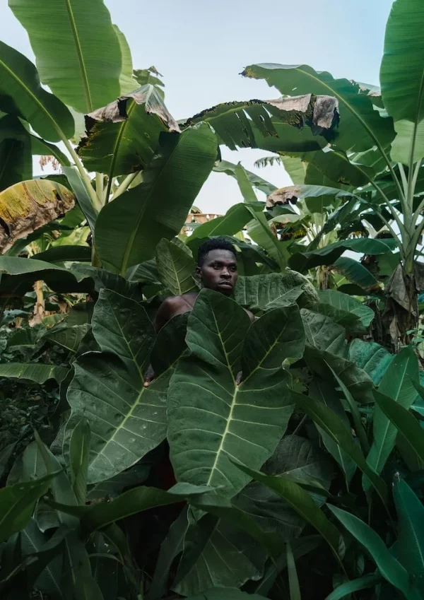 Earthling - Image 2