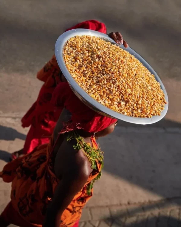 Holy Corn