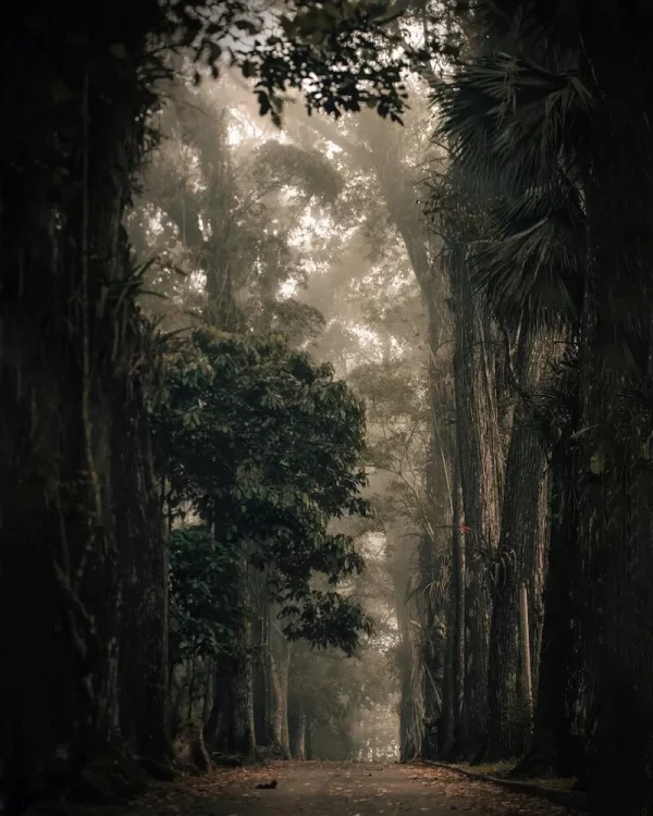 Untitled 2 - Image 2